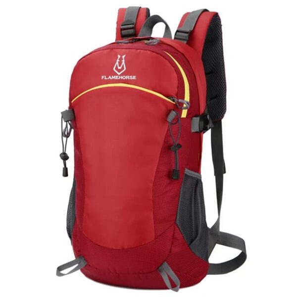 Lightweight Travel Backpack